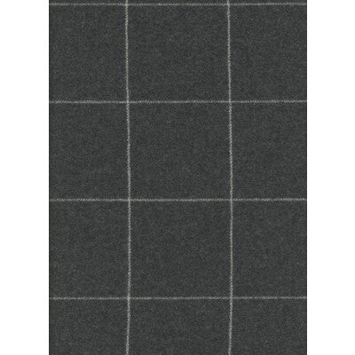 AM100309.21 Wales : Charcoal Cut Yardage