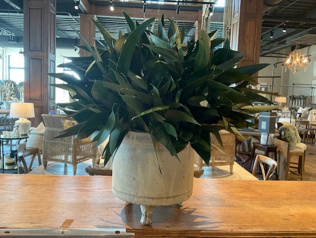 #1 Eucalyptus Cream Container