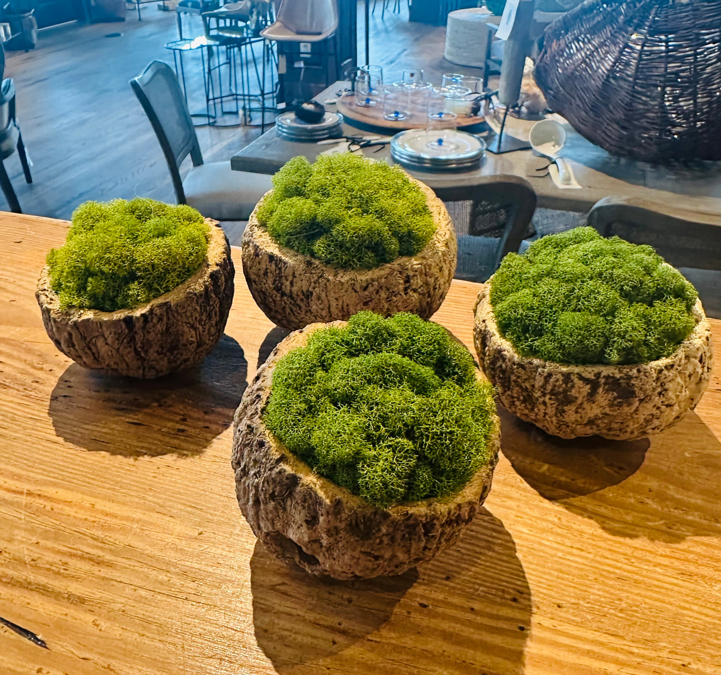 Moss Coconut Ball