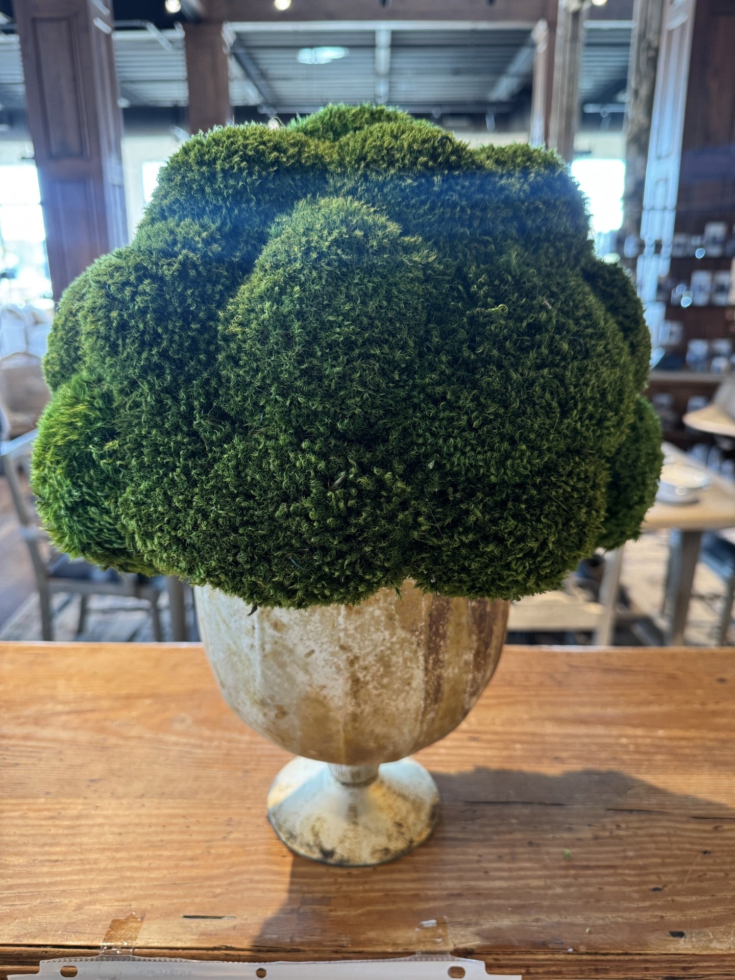 Lg Moss Topiary