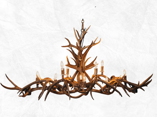 SKU 77S Antler 8 - Light Oblong