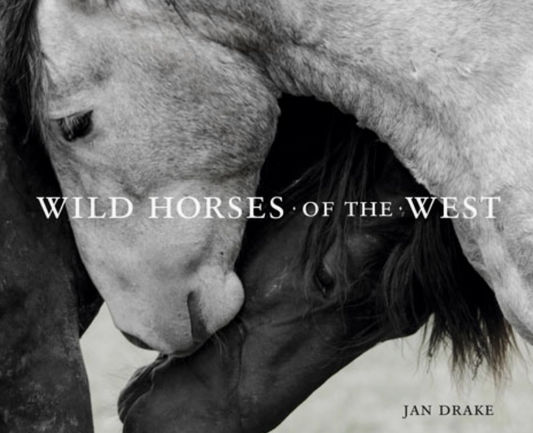Wild Horses of the West