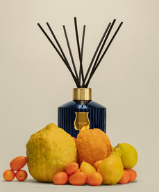 Reggio Diffuser 350ml