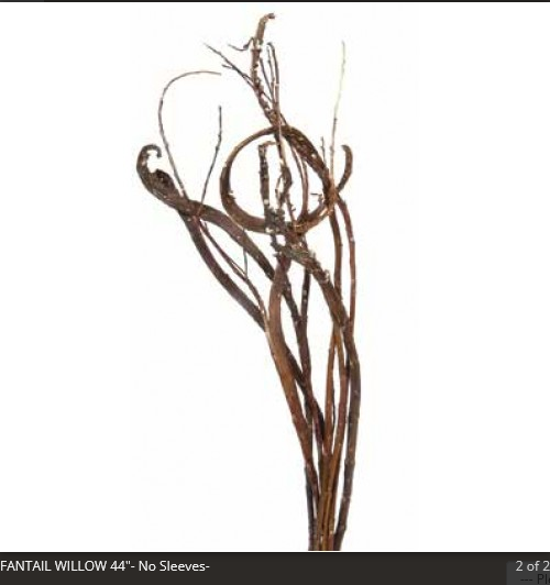 Fantail Willow 44" Natural
