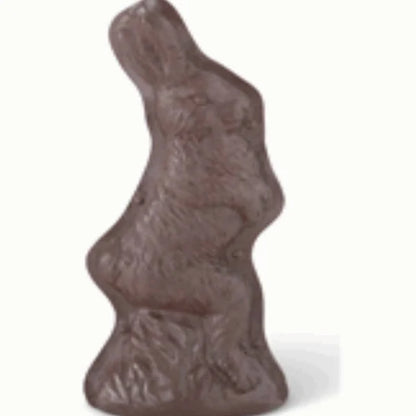 20437D Resin Chocolate Mold Walking Bunny 9"