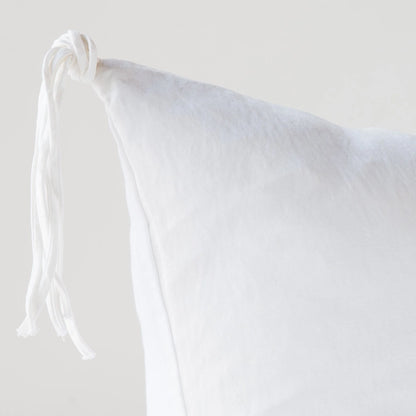 Taline Euro Sham -Winter White-27x27