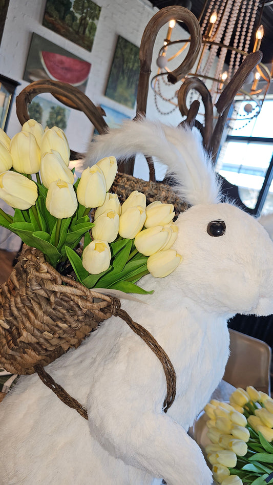 13" Light Mini Tulip Bundle