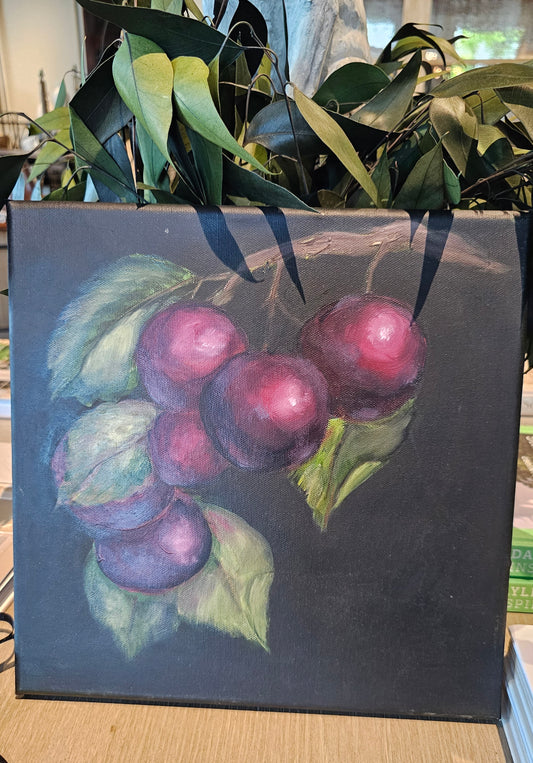 Plums-Dorothy-12X12